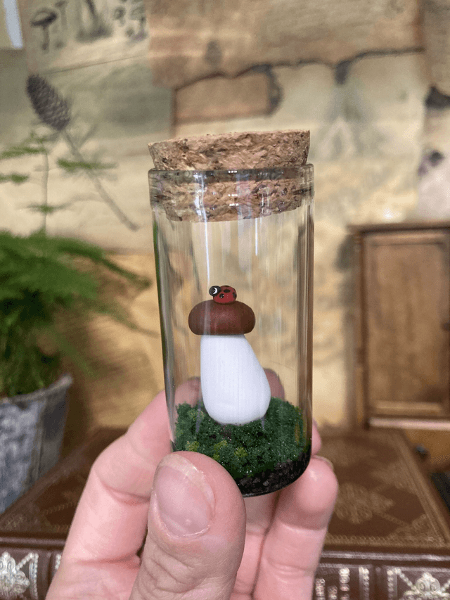 Champignons coccinelle