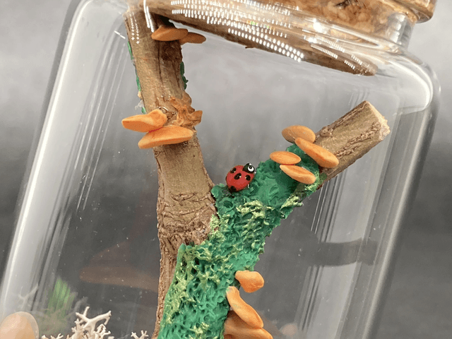 Champignon arbre orange
