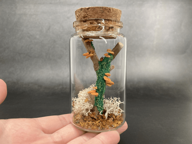 Champignon arbre orange