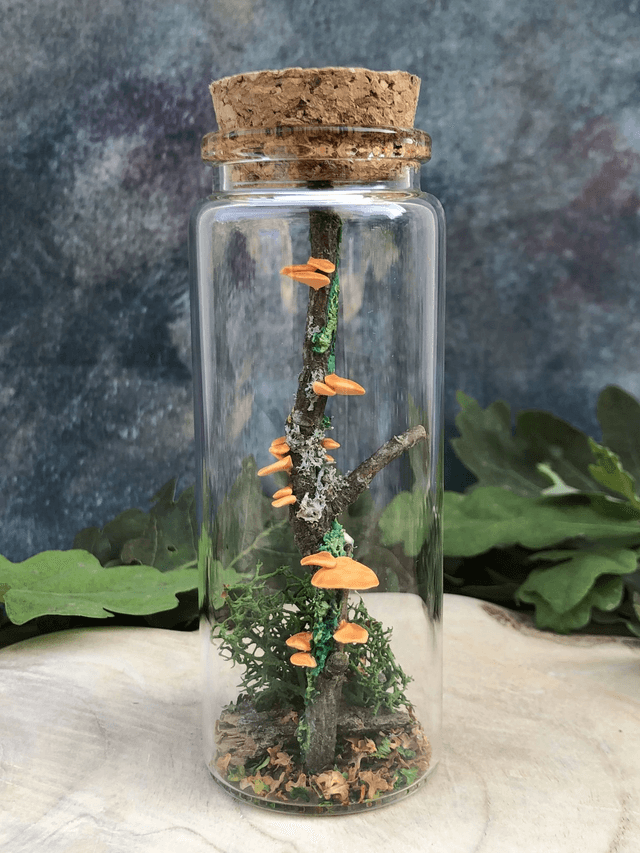 Champignon d'arbre orange