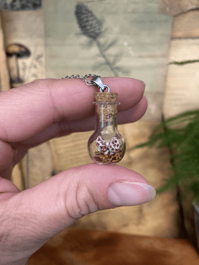 Pendentif morille