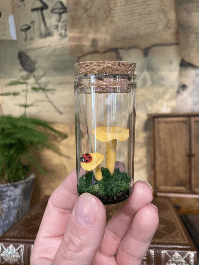 Champignons coccinelle