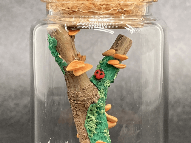 Champignon arbre orange