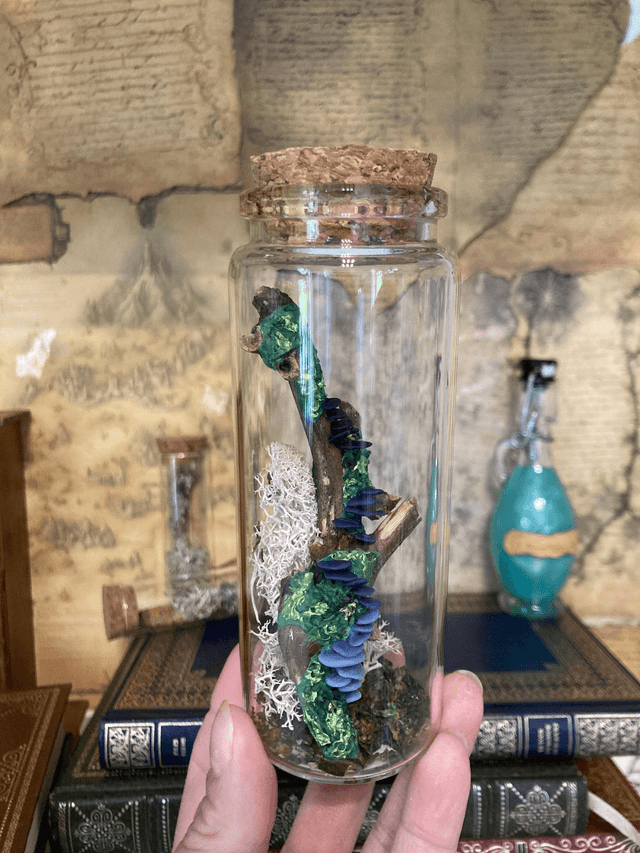 Champignon arbre bleu