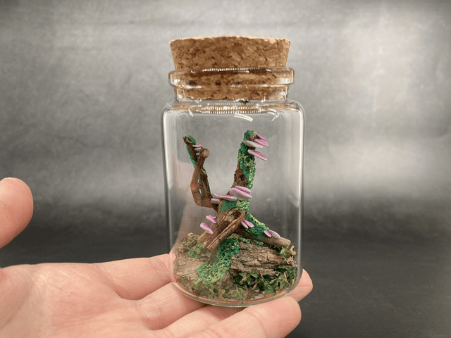 Champignon arbre mauve