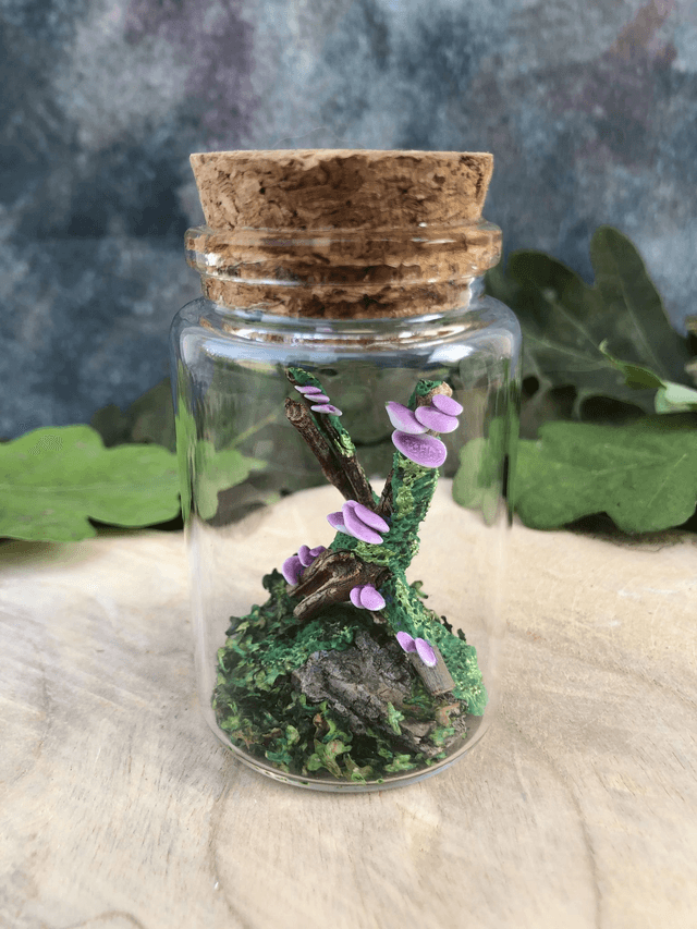 Champignon arbre mauve