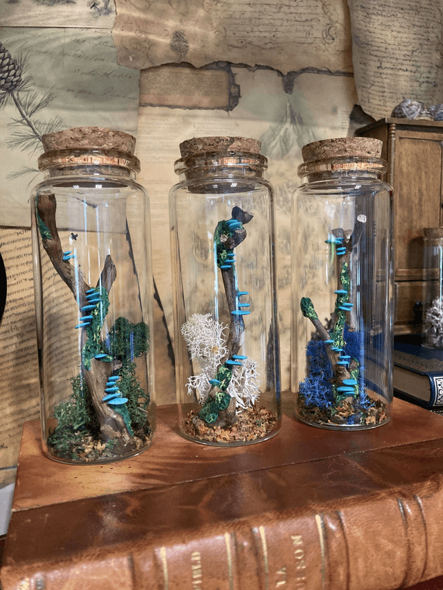 Champignon arbre turquoise