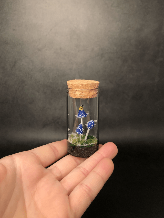 Bleu givré coccinelle