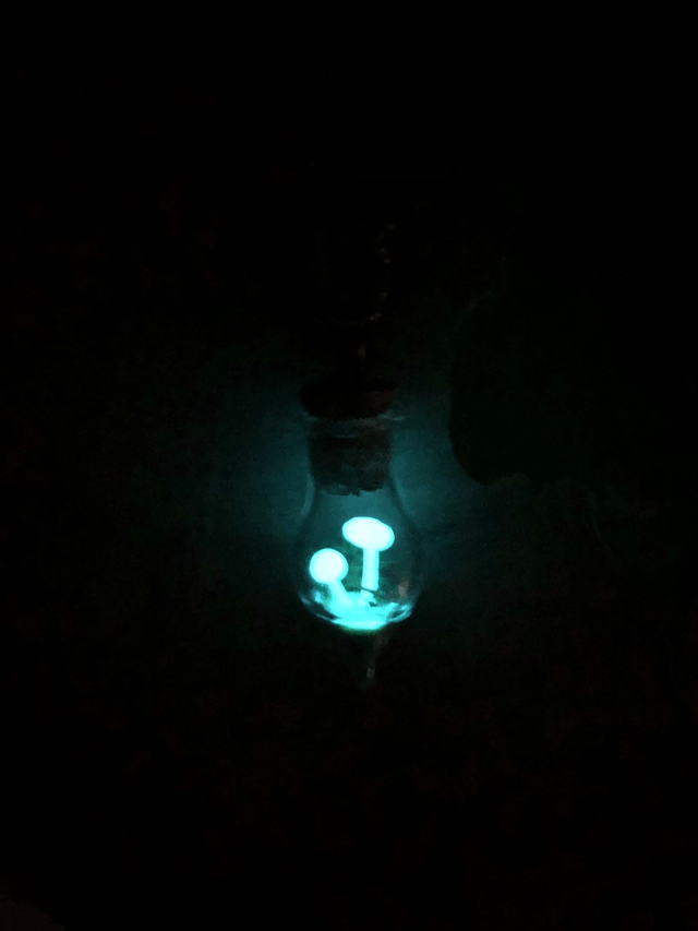 Pendentif champignon phosphorescent