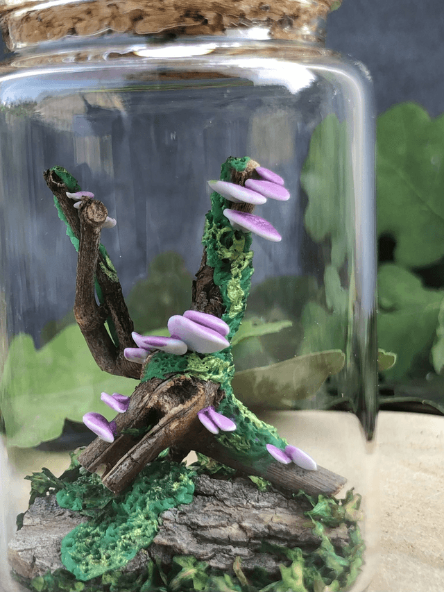 Champignon arbre mauve